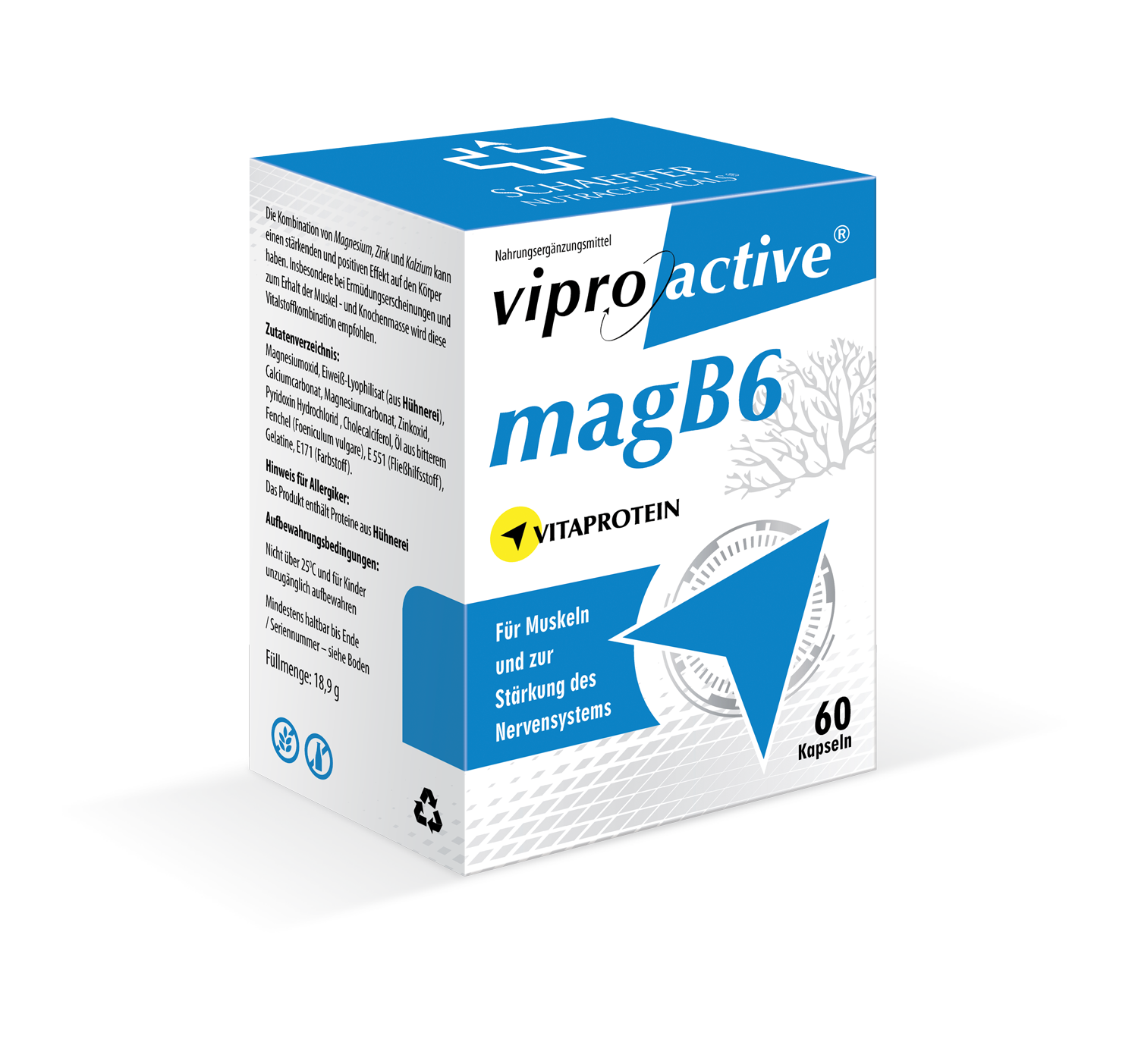 Viproactive® MagB6 – Magnesium für starke Nerven und Muskeln