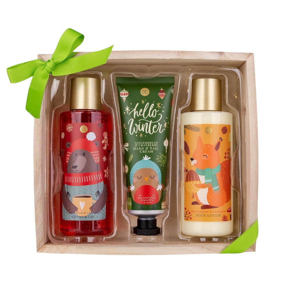 Accentra | Badeset Hello Winter mit Duschgel, Bodylotion und Hand- & Nagelcreme