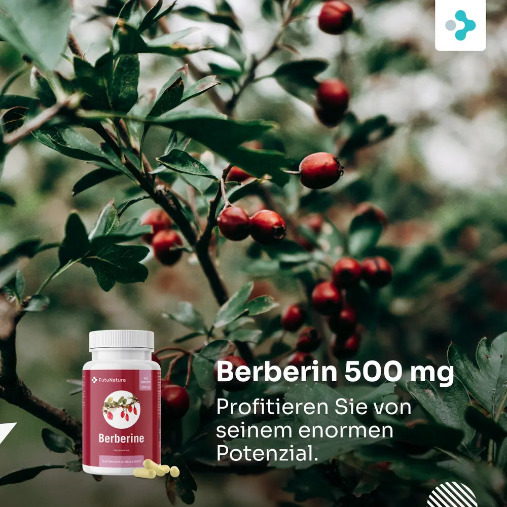 FutuNatura | Berberin 500 mg für Blutzuckerkontrolle - 90 Kapseln