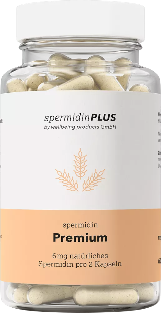 SpermidinPlus I Premium I 60 Kapseln