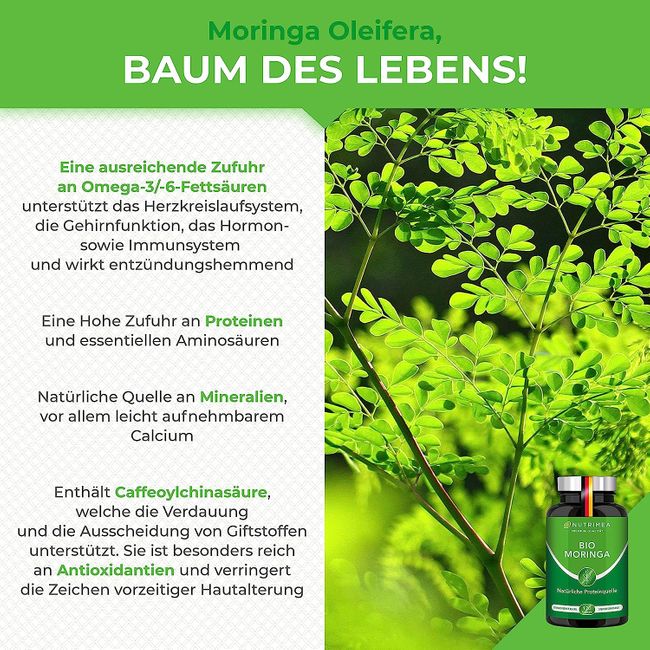 MORINGA Oleifera Kapseln | BIO Zertifiziert OHNE Zusätze | In Deutschland hergestellt | Energy Tabs im 4 Monatsvorrat | SUPERFOOD 100% VEGAN