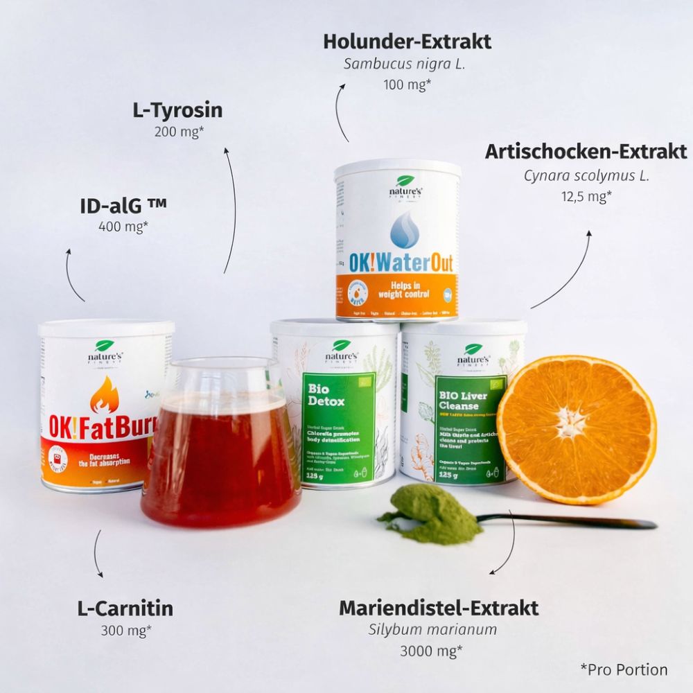 Nature's Finest | Belly Burner 4 in 1 Paket - Netto 550 g für 55 tage
