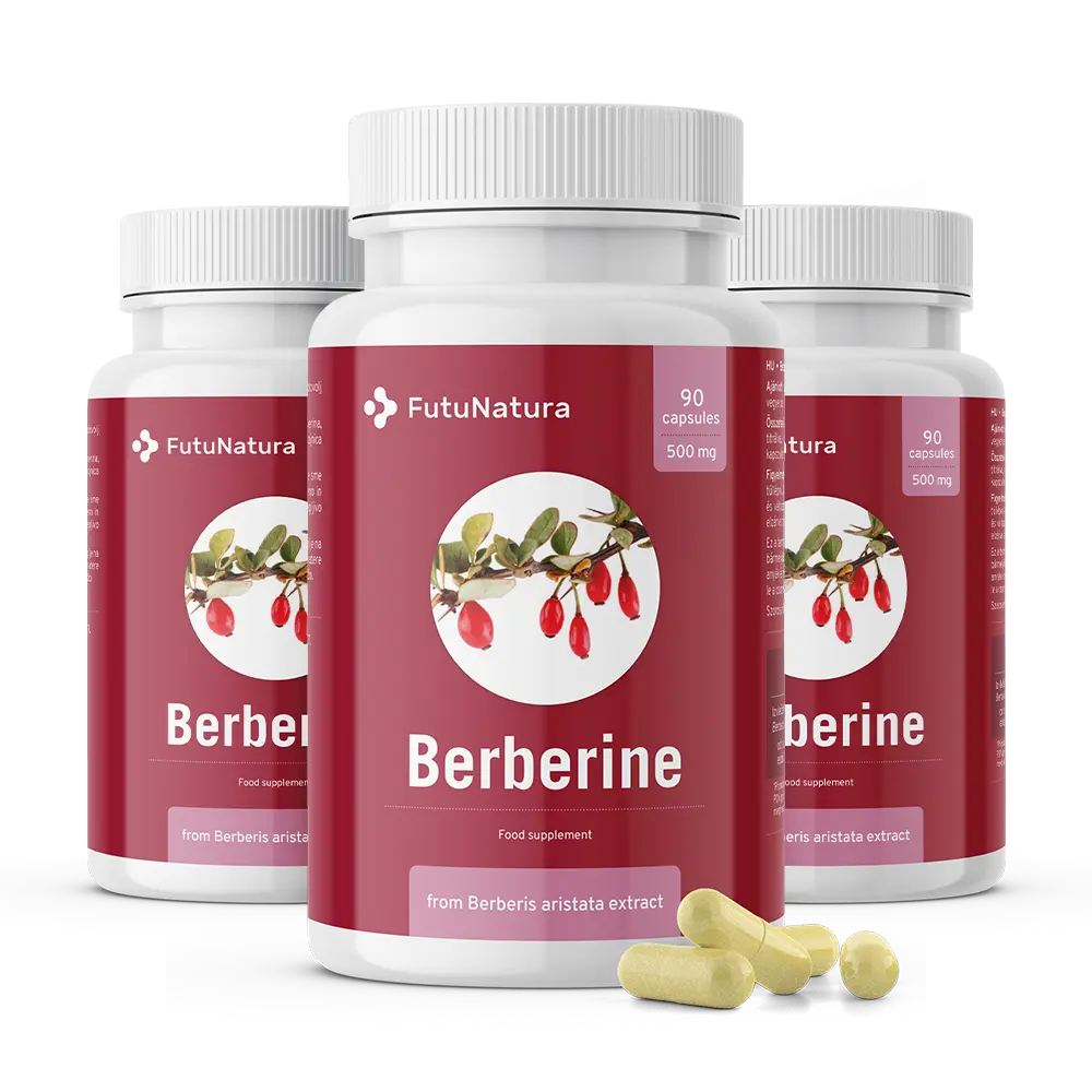 FutuNatura | Berberin 500 mg für Blutzuckerkontrolle - 90 Kapseln