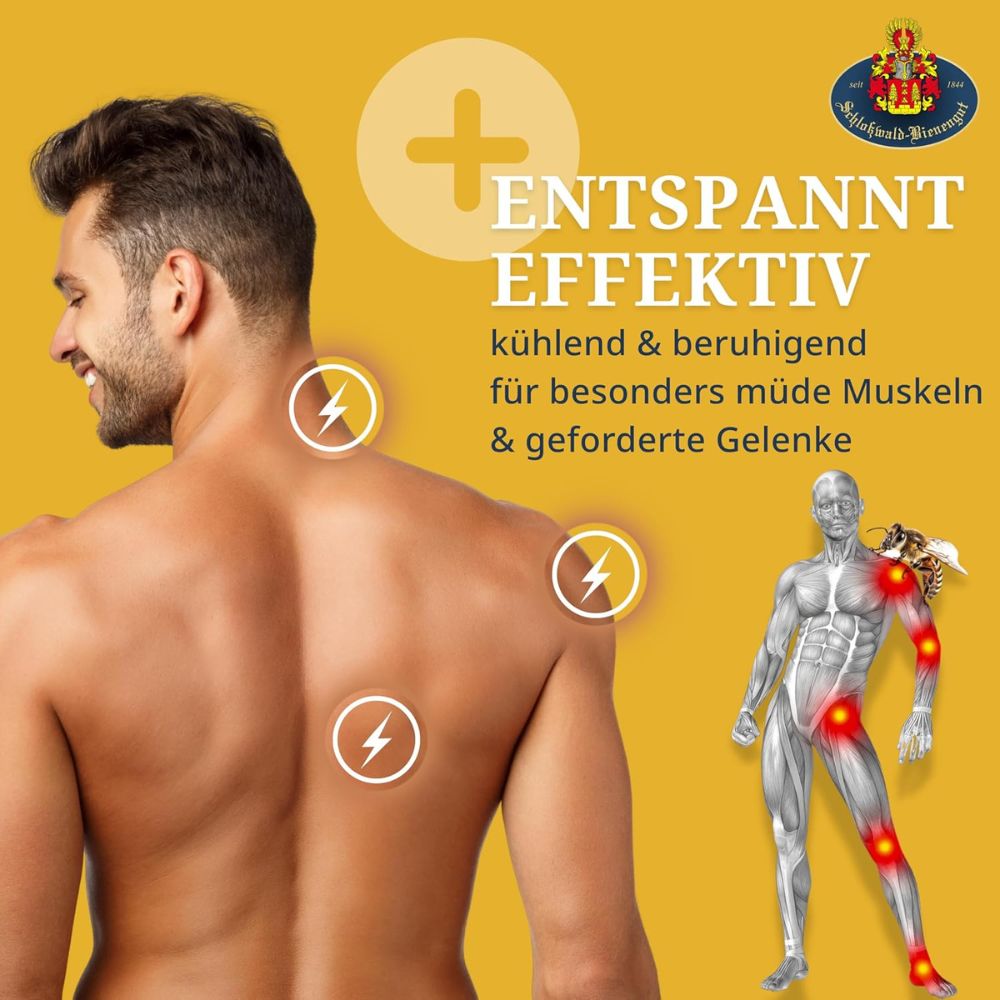 Schloßwald-Bienengut® | Die ECHTE Bienengift-Salbe API-HOT® + API-REGENT® (2x50ml) + Gratis Probe