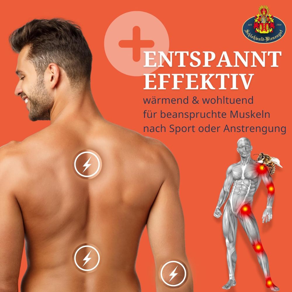 Schloßwald-Bienengut® | Die ECHTE Bienengift-Salbe API-HOT® + API-REGENT® (2x50ml) + Gratis Probe