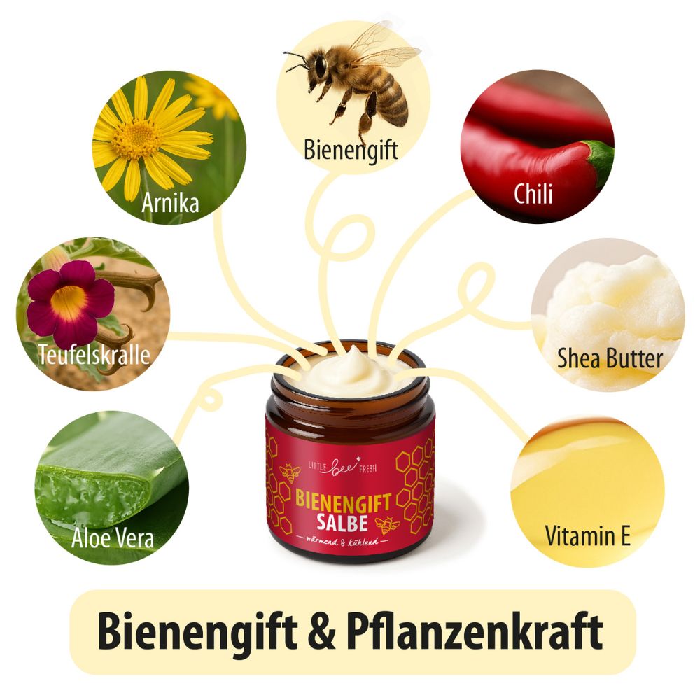 Little Bee Fresh | Bienengiftsalbe wärmend & kühlend – wohltuende Pflege - 50ml