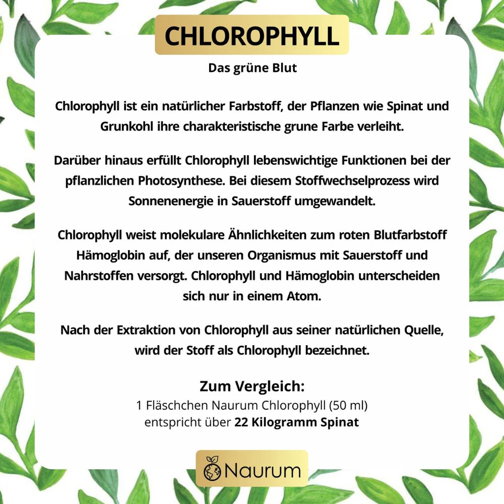 Naurum | Chlorophyll Liquid Tropfen - Natürliches Chlorophyll aus Alfalfa - 50 ml