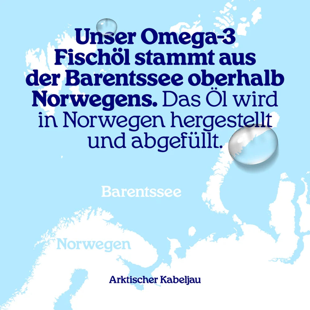 Arctic Blue | Pures Fischöl Omega-3 - natürlicher Geschmack - 300ml