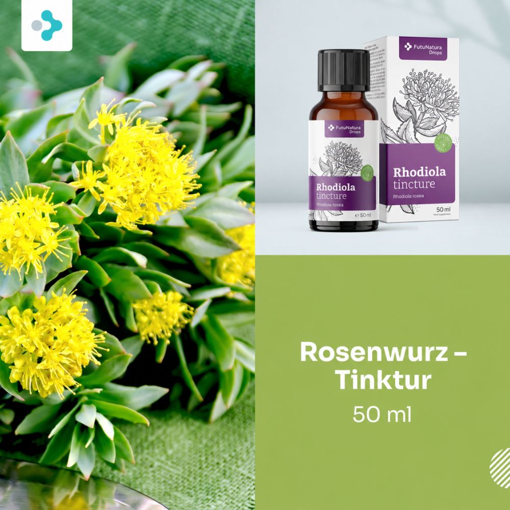FutuNatura | Rosenwurz – Tinktur - 50 ml