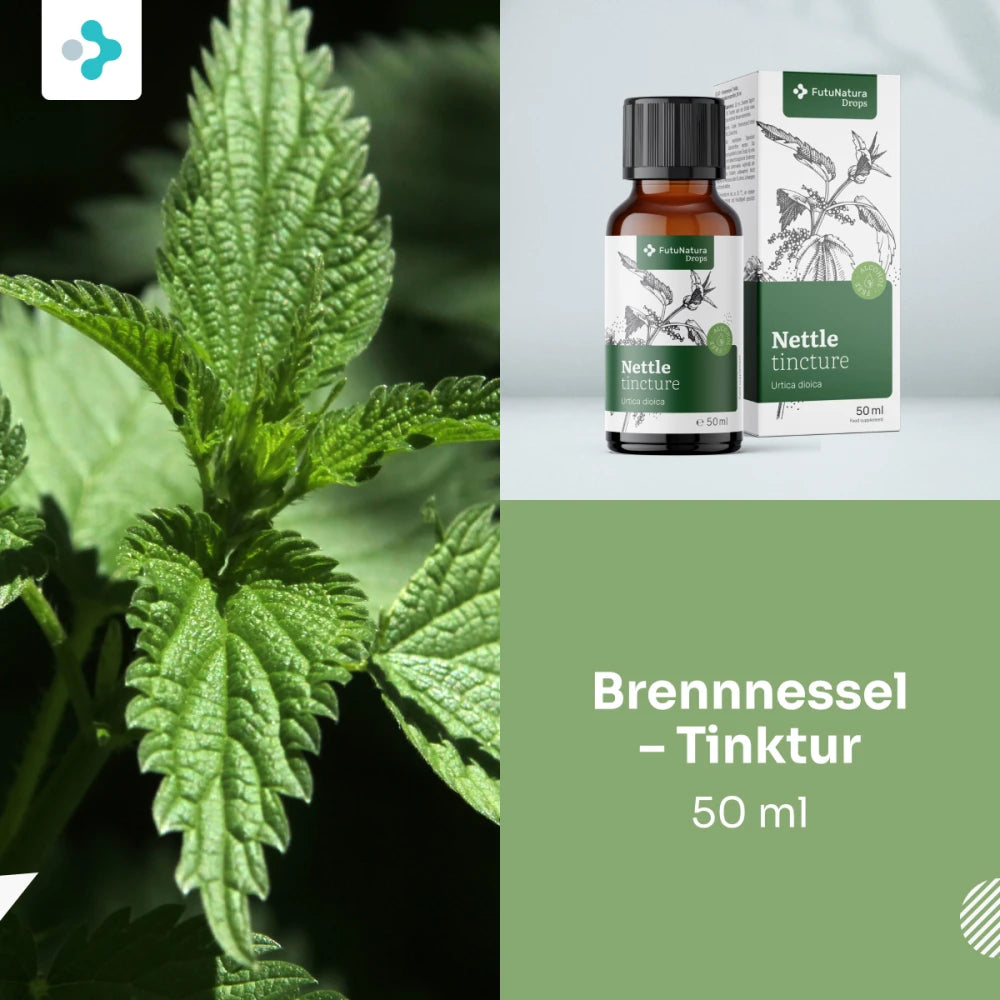 FutuNatura Brennnessel – Tinktur - 50 ml