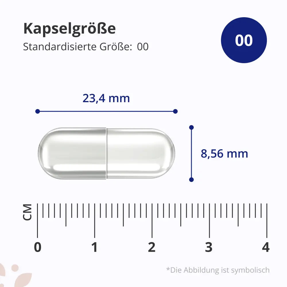 HealthyWorld | Meereskollagen 1170 mg für Haare, Haut und Nägel - 120 Kapseln
