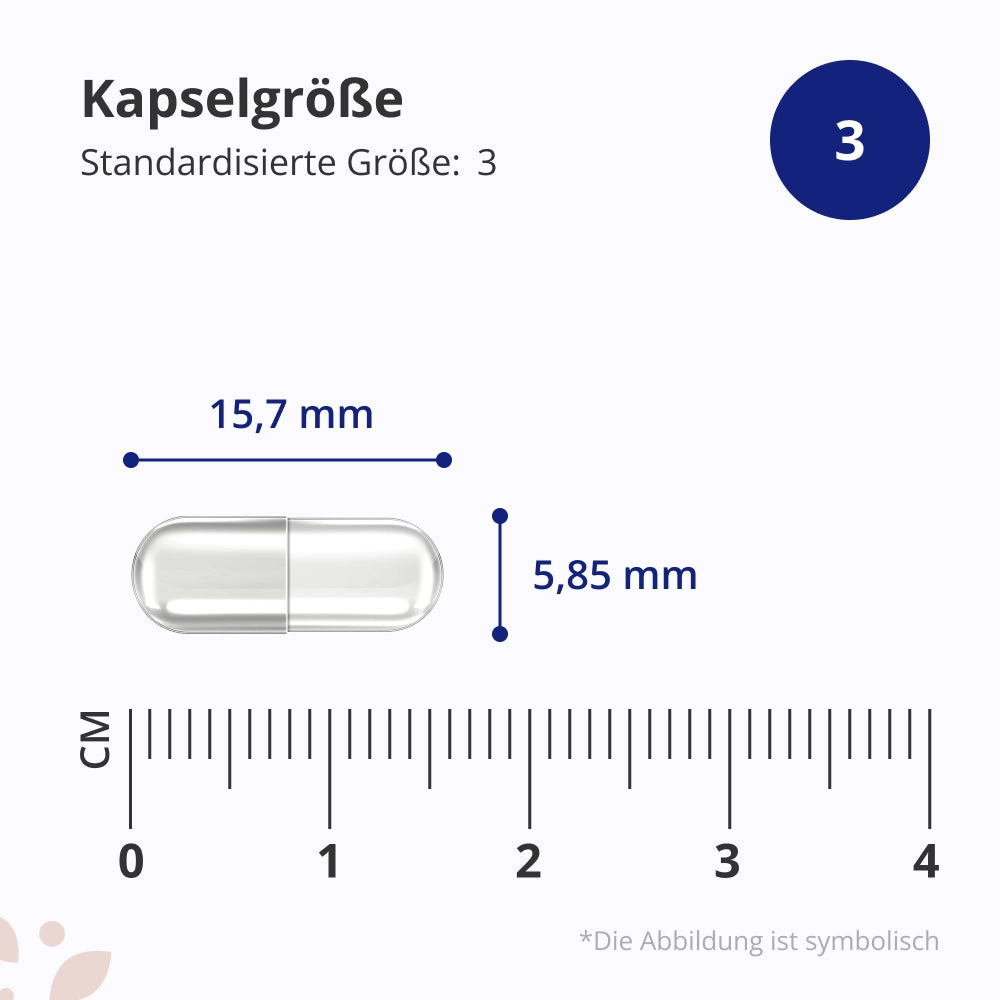 HealthyWorld | Huperzin A 200 µg - 90 Kapseln
