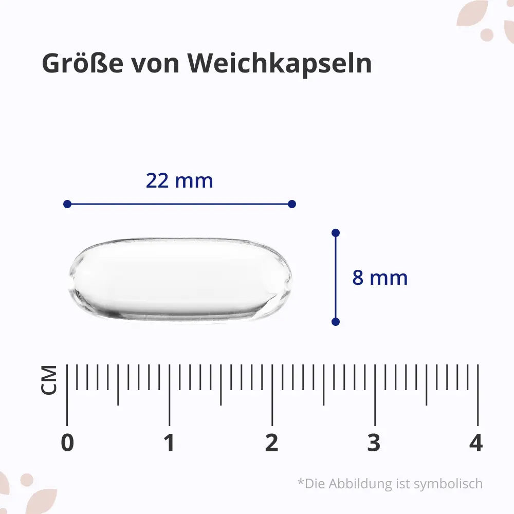 HealthyWorld | Omega-7 All-in-One - 120 Weichkapseln