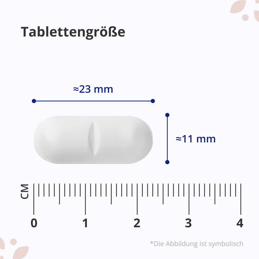 HealthyWorld | Vitamin C 1000 mg mit Hagebutte und Bioflavonoiden - 180 Tabletten