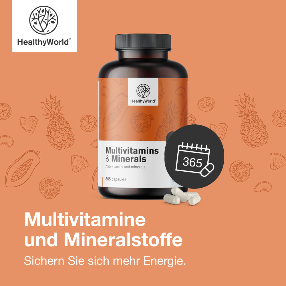 HealthyWorld | HealthyWorld Multivitamine & Mineralien – 25 Vitamine & Mineralstoffe für Energie, Immunsystem & Vitalität - 365 Kapseln