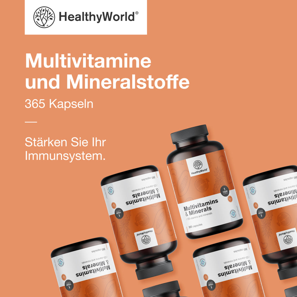HealthyWorld | Multivitamine & Mineralien – 25 Vitamine & Mineralstoffe für Energie, Immunsystem & Vitalität - 365 Kapseln