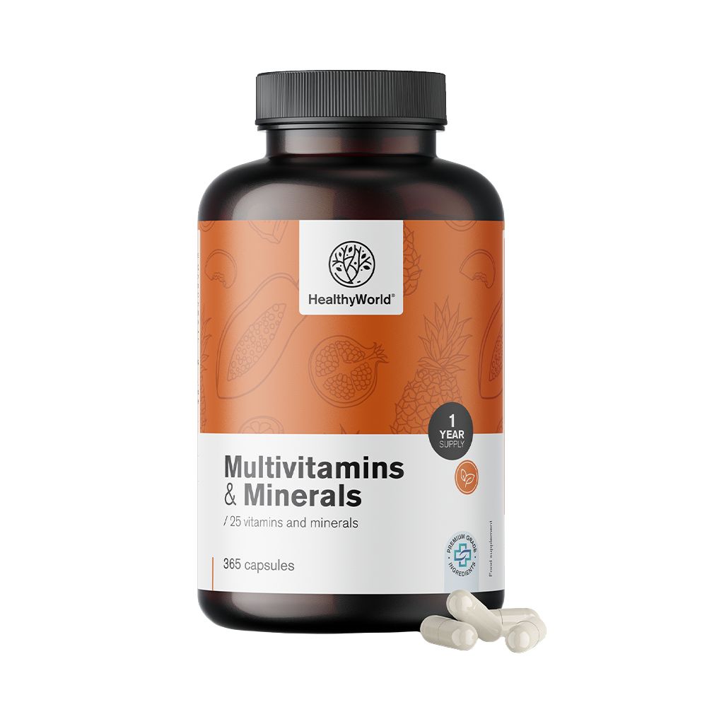 HealthyWorld | HealthyWorld Multivitamine & Mineralien – 25 Vitamine & Mineralstoffe für Energie, Immunsystem & Vitalität - 365 Kapseln