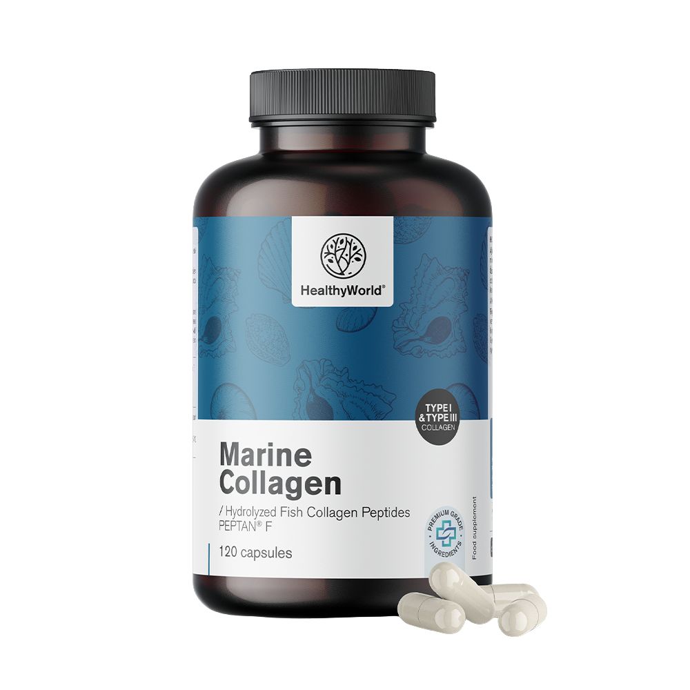 HealthyWorld | Meereskollagen 1170 mg für Haare, Haut und Nägel - 120 Kapseln