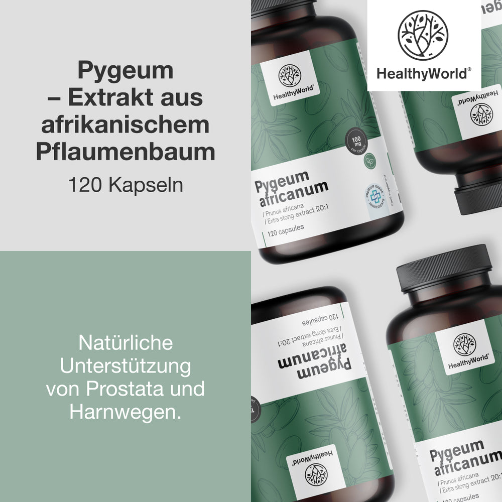 HealthyWorld | Pygeum – Extrakt aus afrikanischem Pflaumenbaum - 120 Kapseln