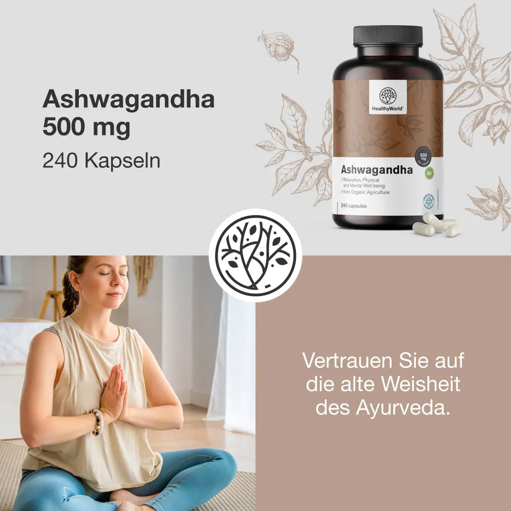 HealthyWorld | Ashwagandha 500 mg - 240 Kapseln