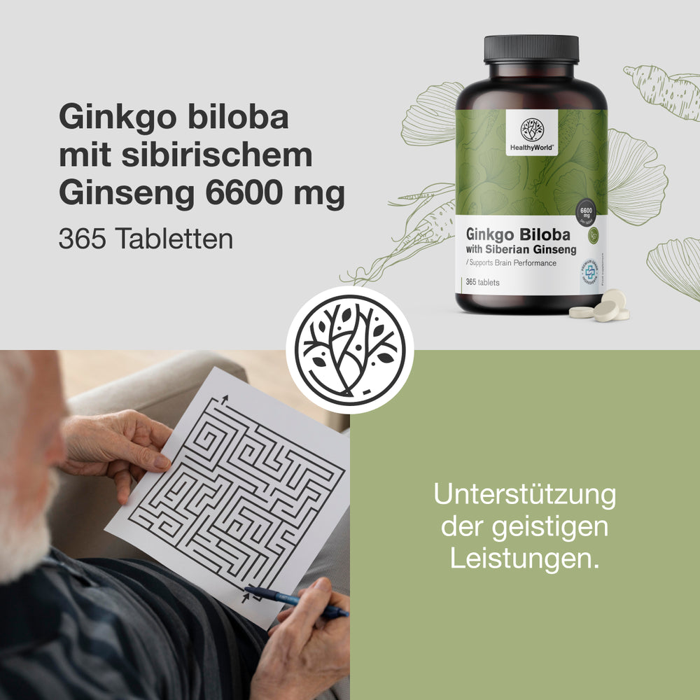 HealthyWorld | Ginkgo mit Sibirischem Ginseng 6600 mg - 365 Tabletten