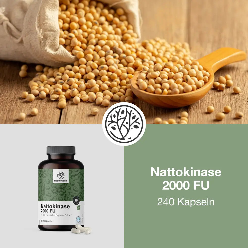 HealthyWorld | Nattokinase 2000 FU für das Blut- und das Herz-Kreislauf-System - 240 Kapseln