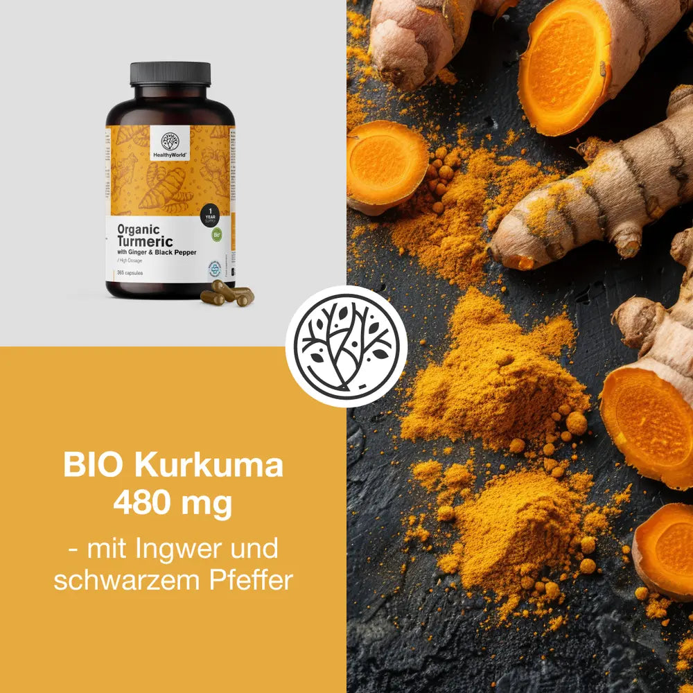 HealthyWorld | BIO Kurkuma 480 mg mit Ingwer und schwarzem Pfeffer - 365 Kapseln