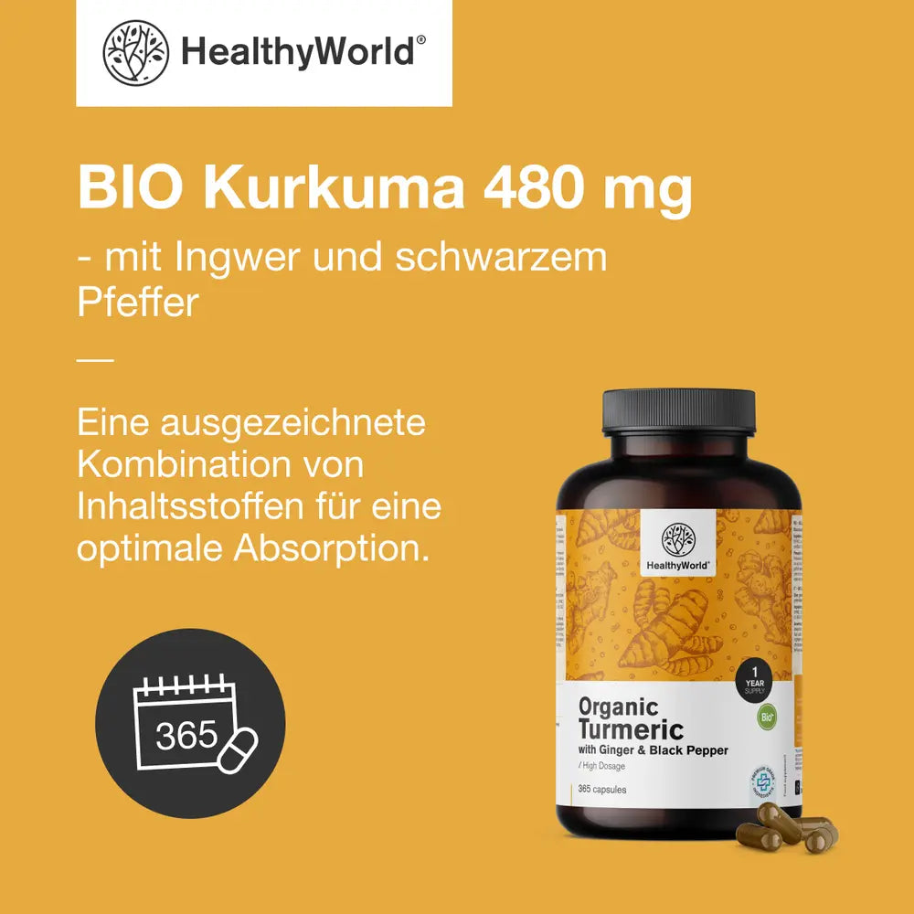 HealthyWorld | BIO Kurkuma 480 mg mit Ingwer und schwarzem Pfeffer - 365 Kapseln