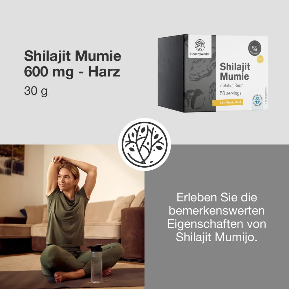 HealthyWorld | Shilajit Mumie 600 mg – Harz zum Ausgleich von Körper und Geist - 30 g