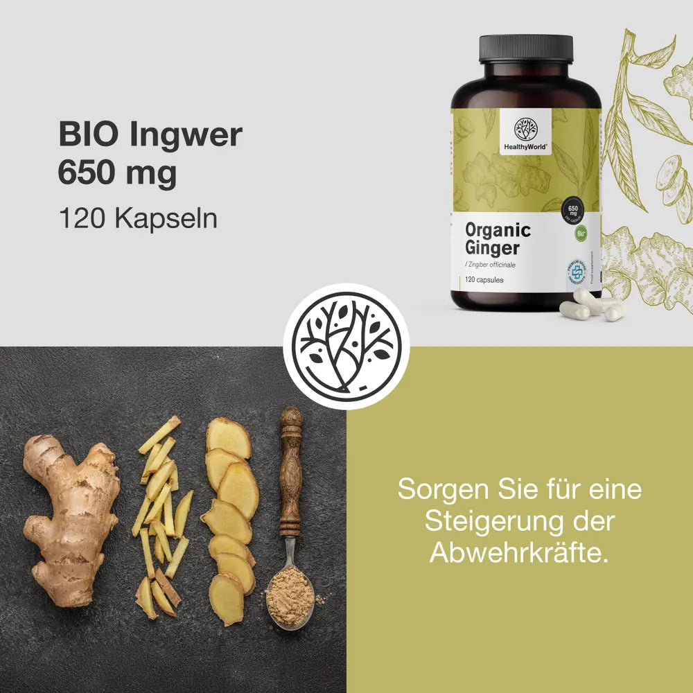 HealthyWorld | BIO Ingwer 650 mg – 120 Kapseln