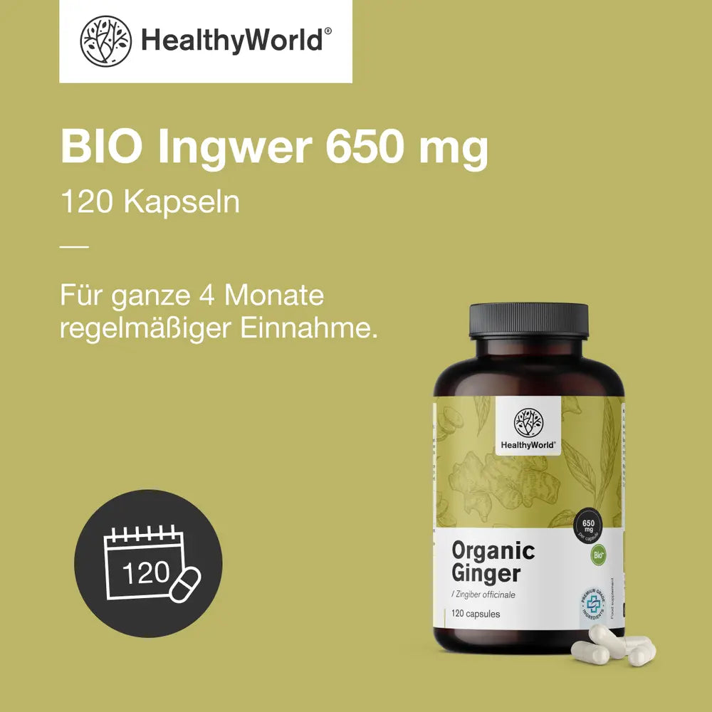 HealthyWorld | BIO Ingwer 650 mg – 120 Kapseln