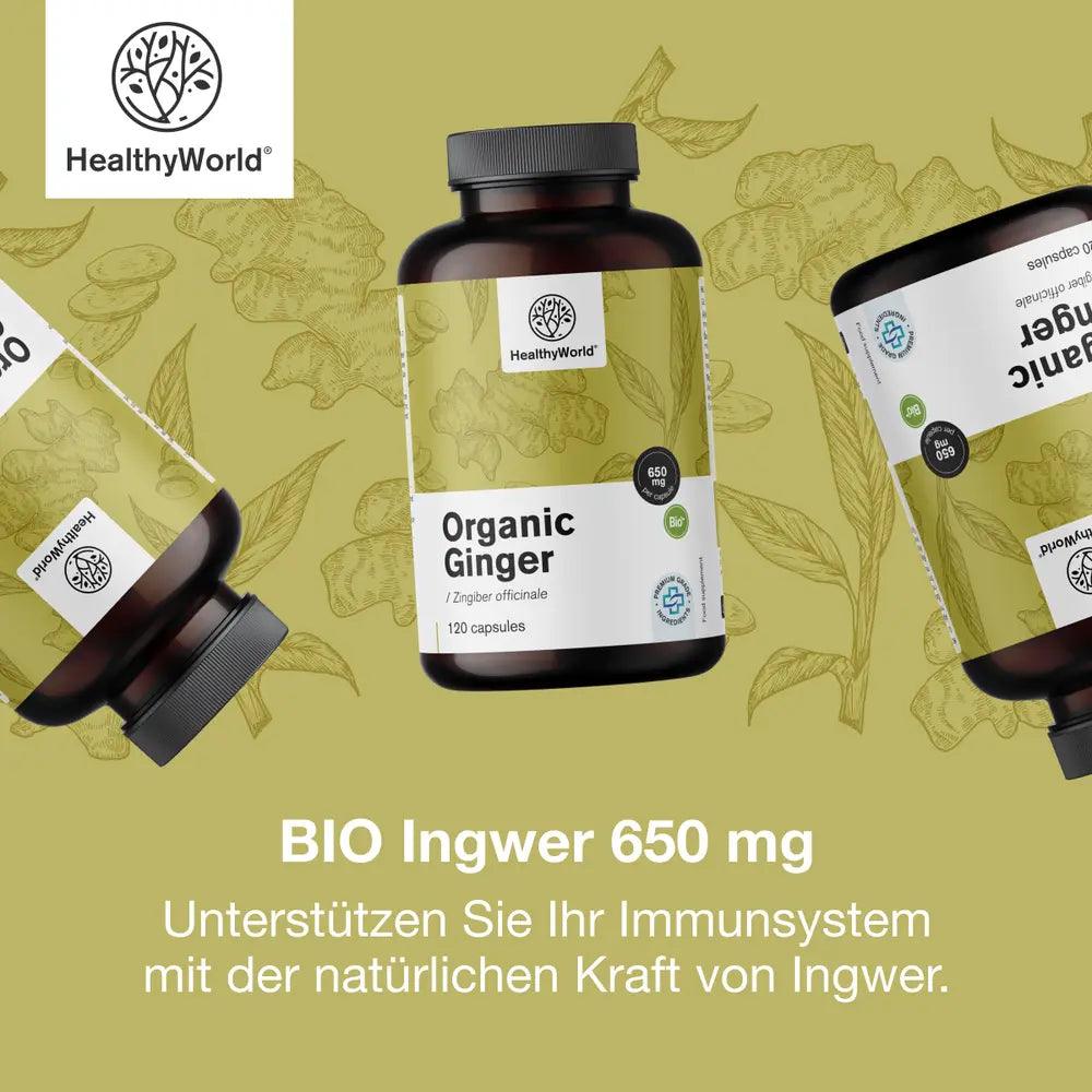HealthyWorld | BIO Ingwer 650 mg – 120 Kapseln