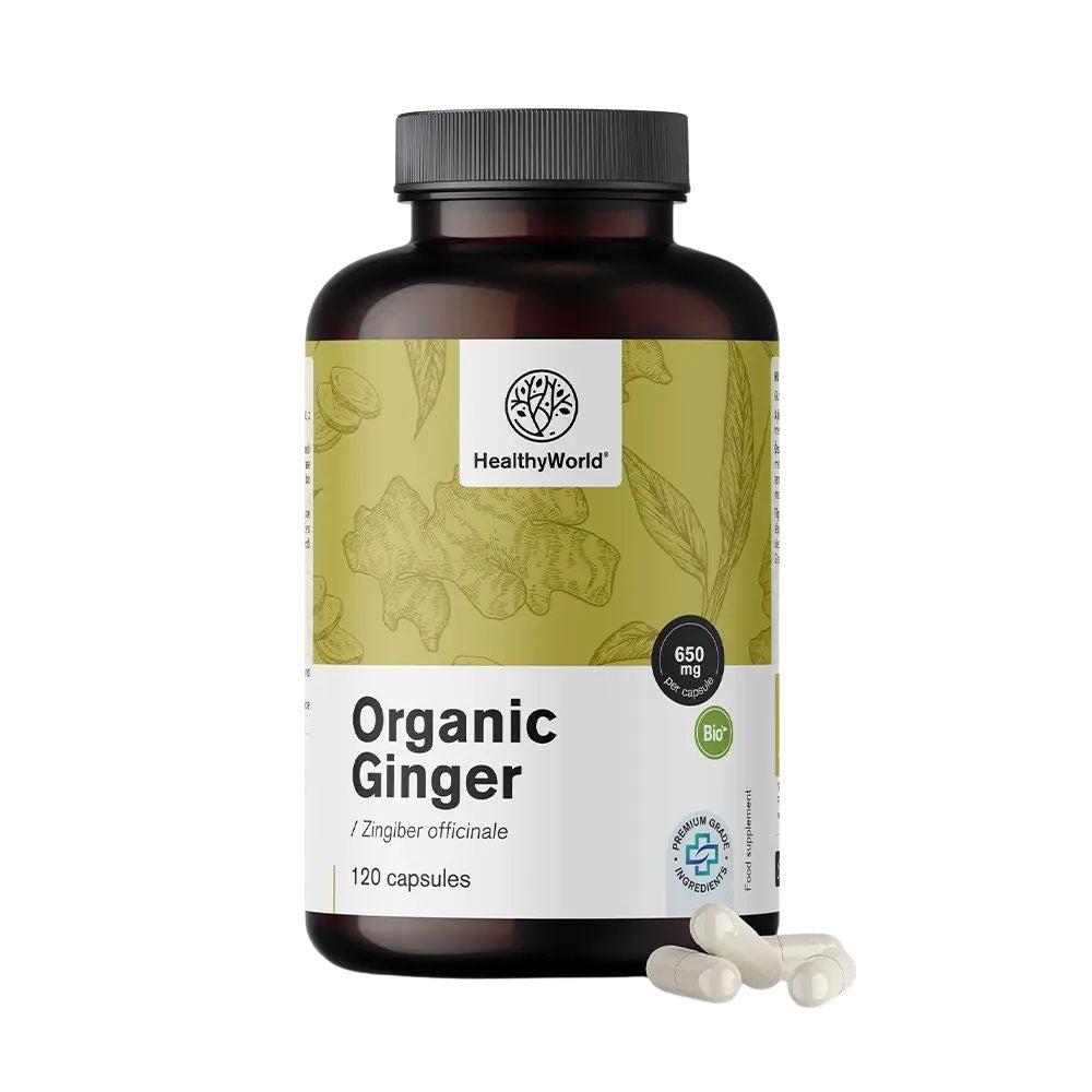HealthyWorld | BIO Ingwer 650 mg – 120 Kapseln