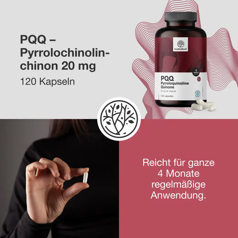 HealthyWorld | PQQ – Pyrrolochinolinchinon 20 mg - 120 Kapseln