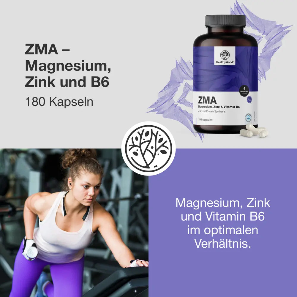 HealthyWorld | ZMA – Magnesium, Zink und B6 - 180 Kapseln