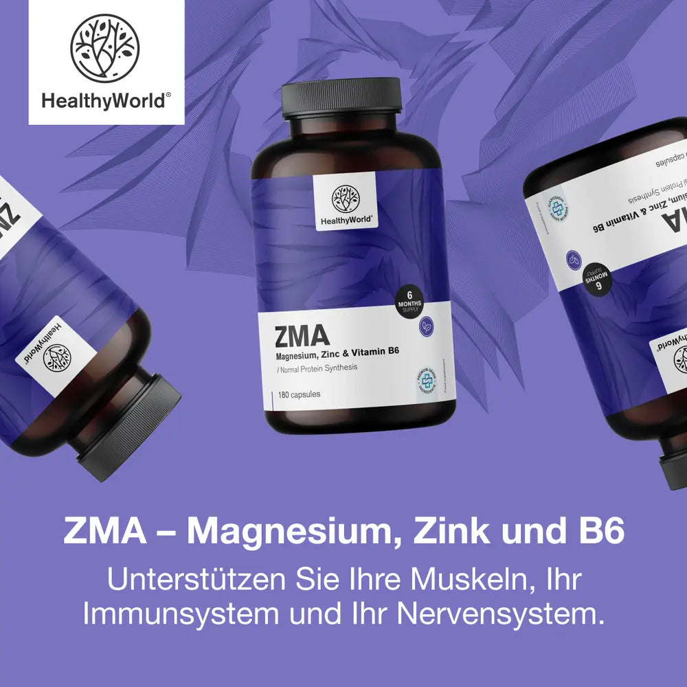 HealthyWorld | ZMA – Magnesium, Zink und B6 - 180 Kapseln