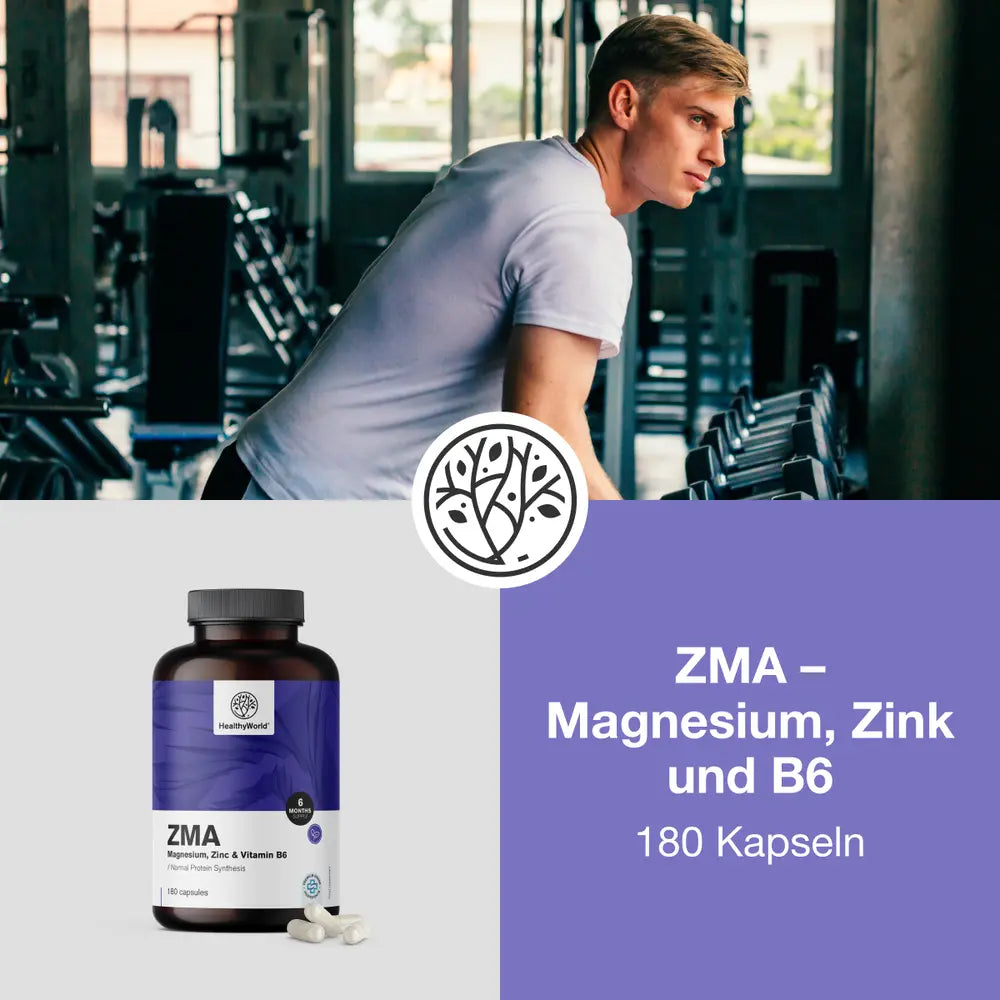 HealthyWorld | ZMA – Magnesium, Zink und B6 - 180 Kapseln