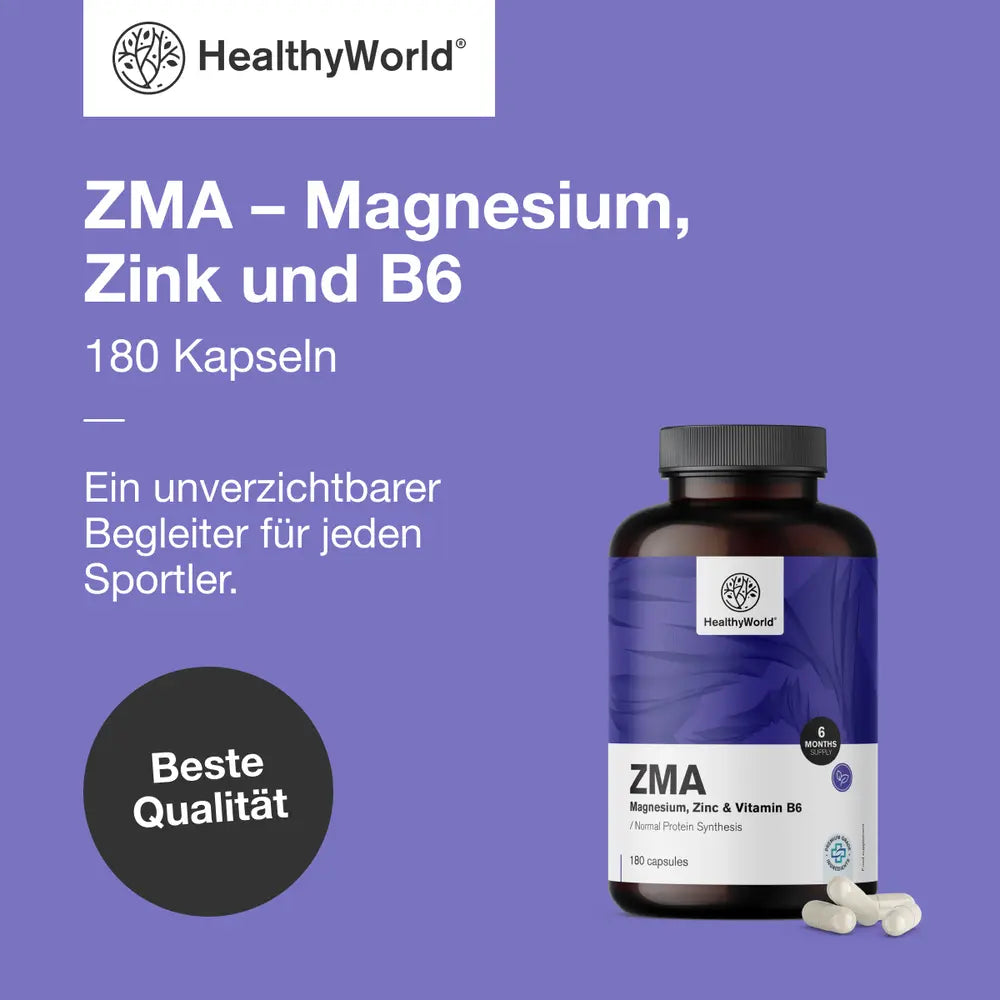 HealthyWorld | ZMA – Magnesium, Zink und B6 - 180 Kapseln