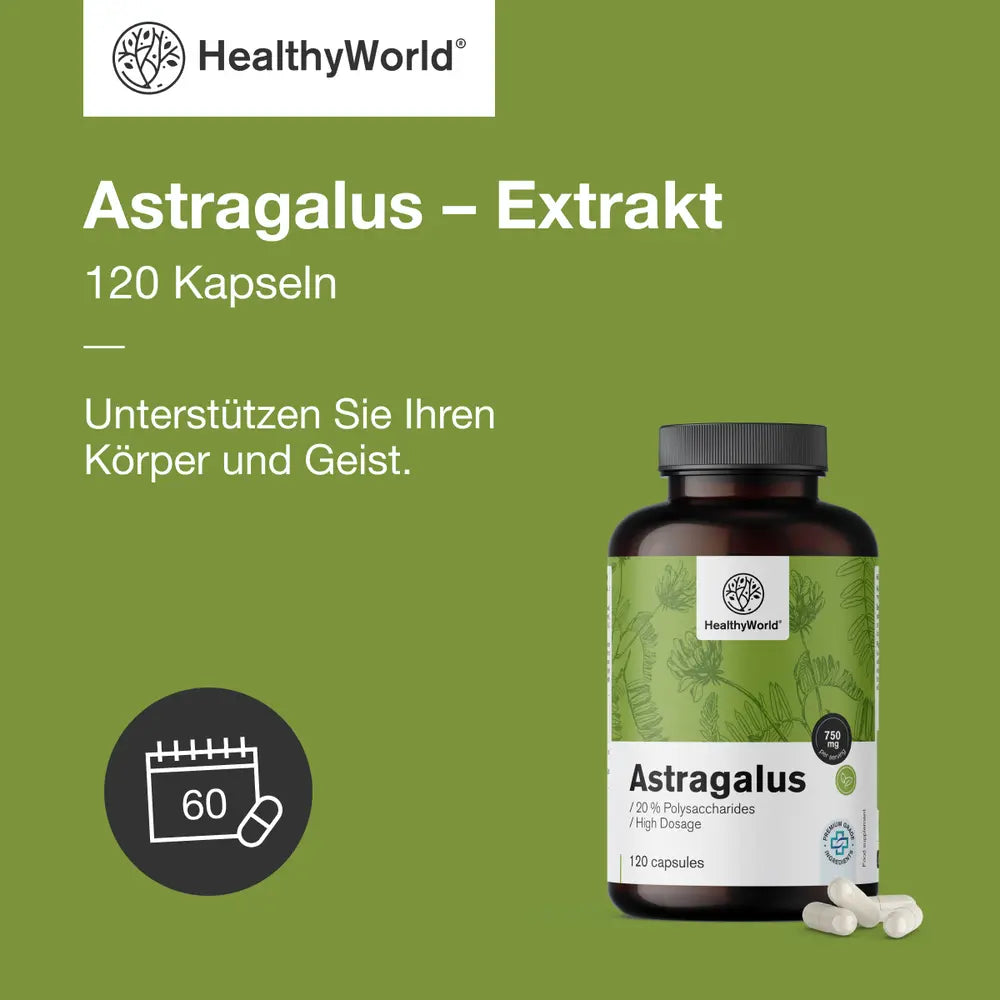 HealthyWorld | Astragalus – Extrakt – 90 Kapseln