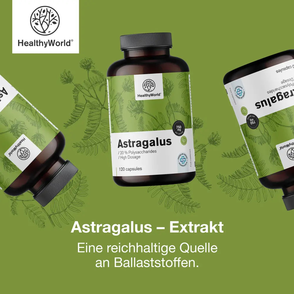 HealthyWorld | Astragalus – Extrakt – 90 Kapseln