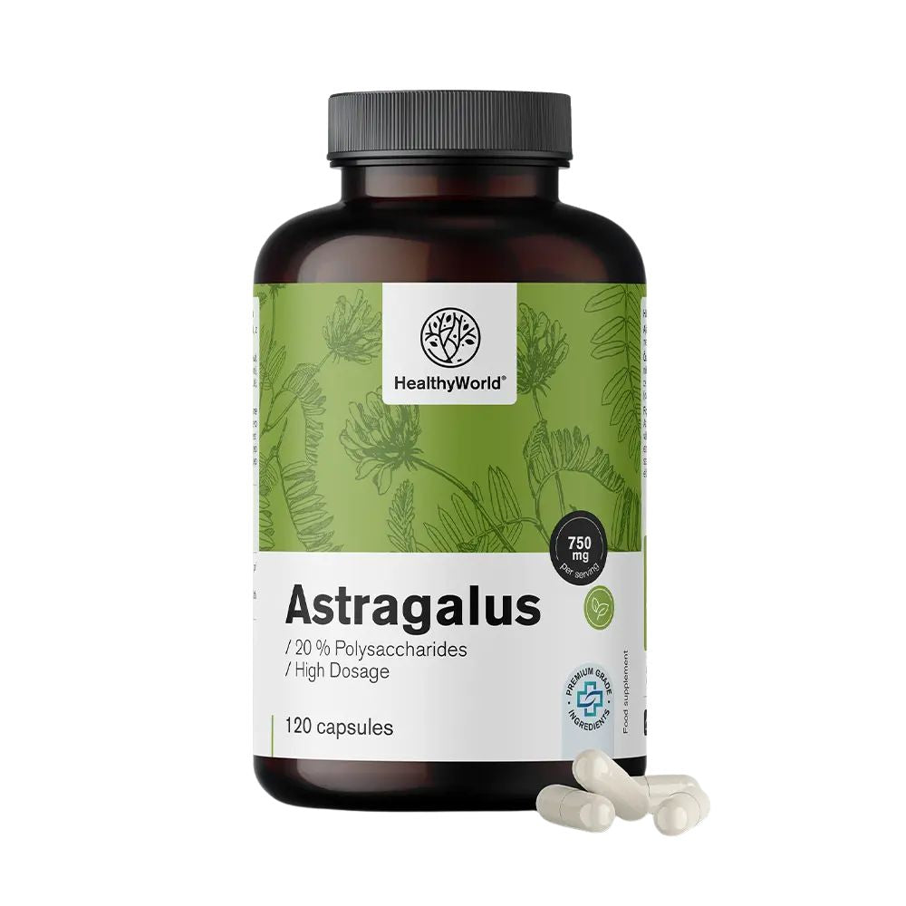 HealthyWorld | Astragalus – Extrakt – 90 Kapseln