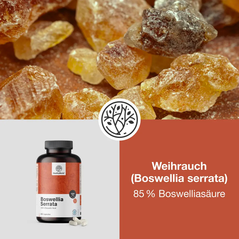 HealthyWorld | Weihrauch (Boswellia serrata) – 85 % Boswelliasäure – 360 Kapseln