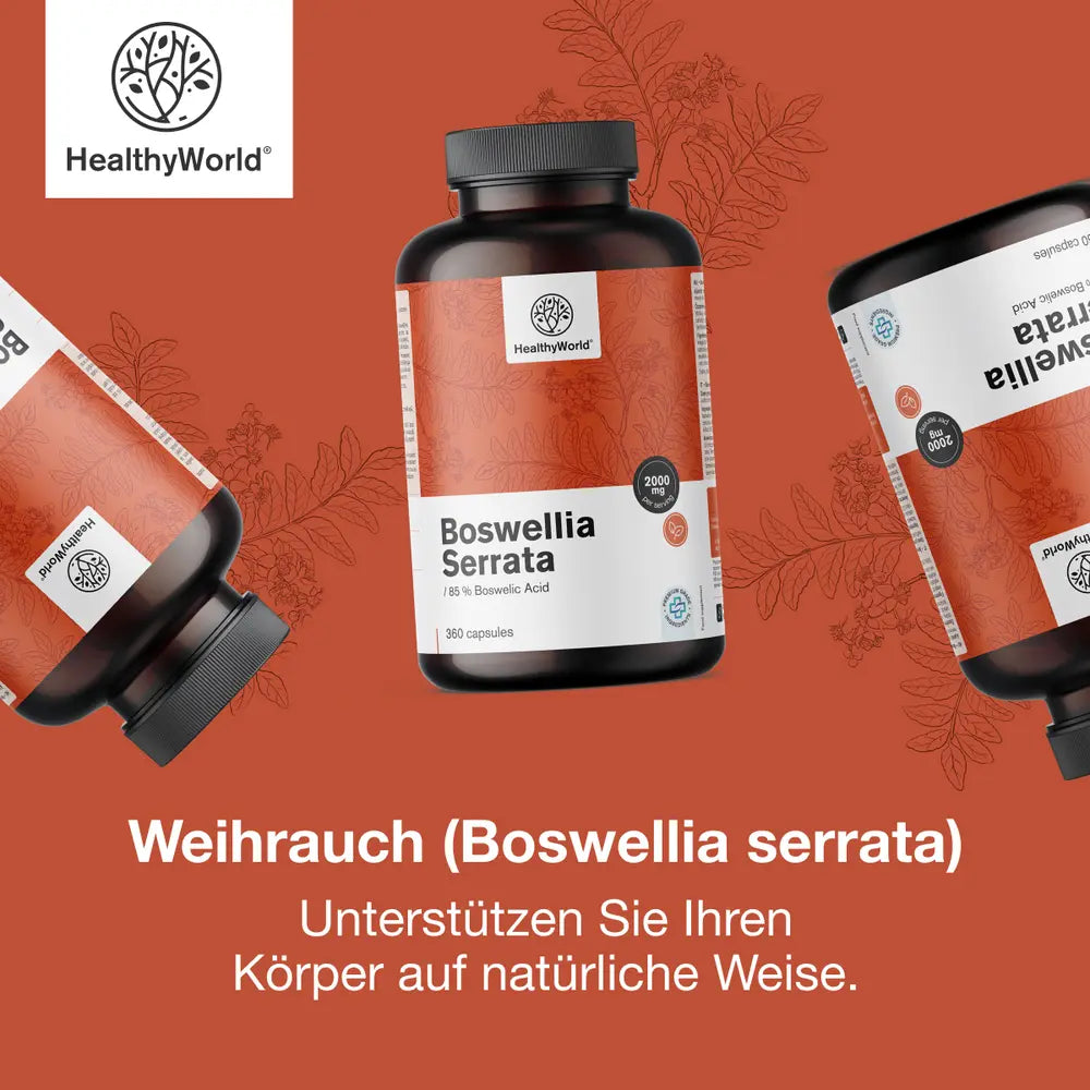 HealthyWorld | Weihrauch (Boswellia serrata) – 85 % Boswelliasäure – 360 Kapseln