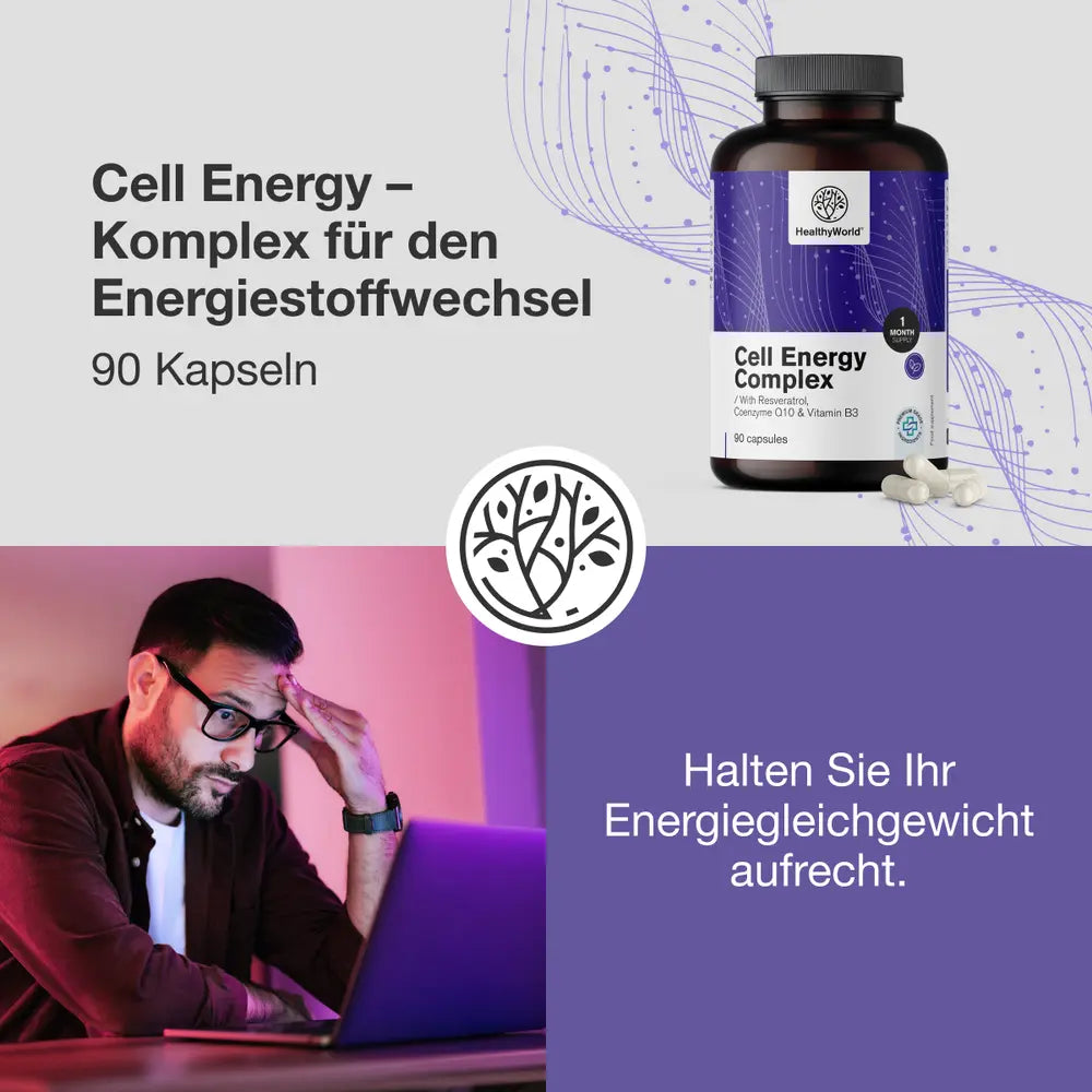 HealthyWorld Cell Energy – Komplex für den Energiestoffwechsel – 90 Kapseln