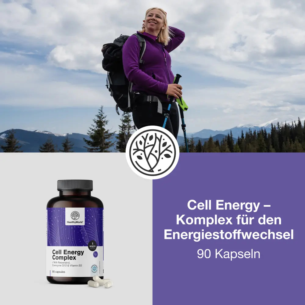 HealthyWorld Cell Energy – Komplex für den Energiestoffwechsel – 90 Kapseln