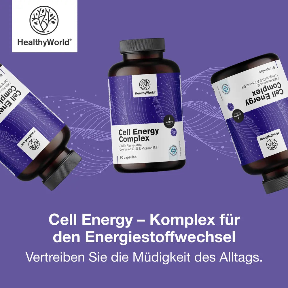 HealthyWorld Cell Energy – Komplex für den Energiestoffwechsel – 90 Kapseln