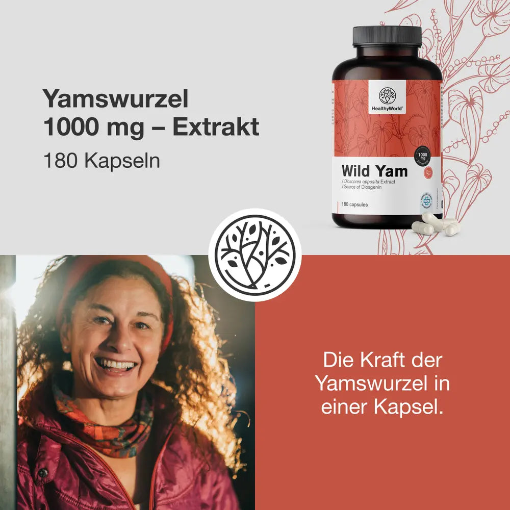 HealthyWorld Yamswurzel 1000 mg – Extrakt – 180 Kapseln