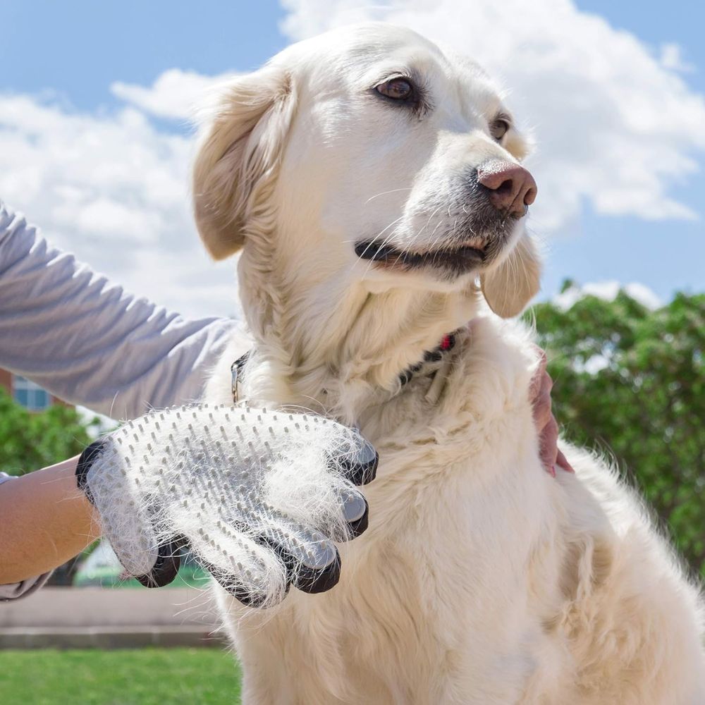 InnovaGoods | Haustier-Bürste und Massagehandschuh