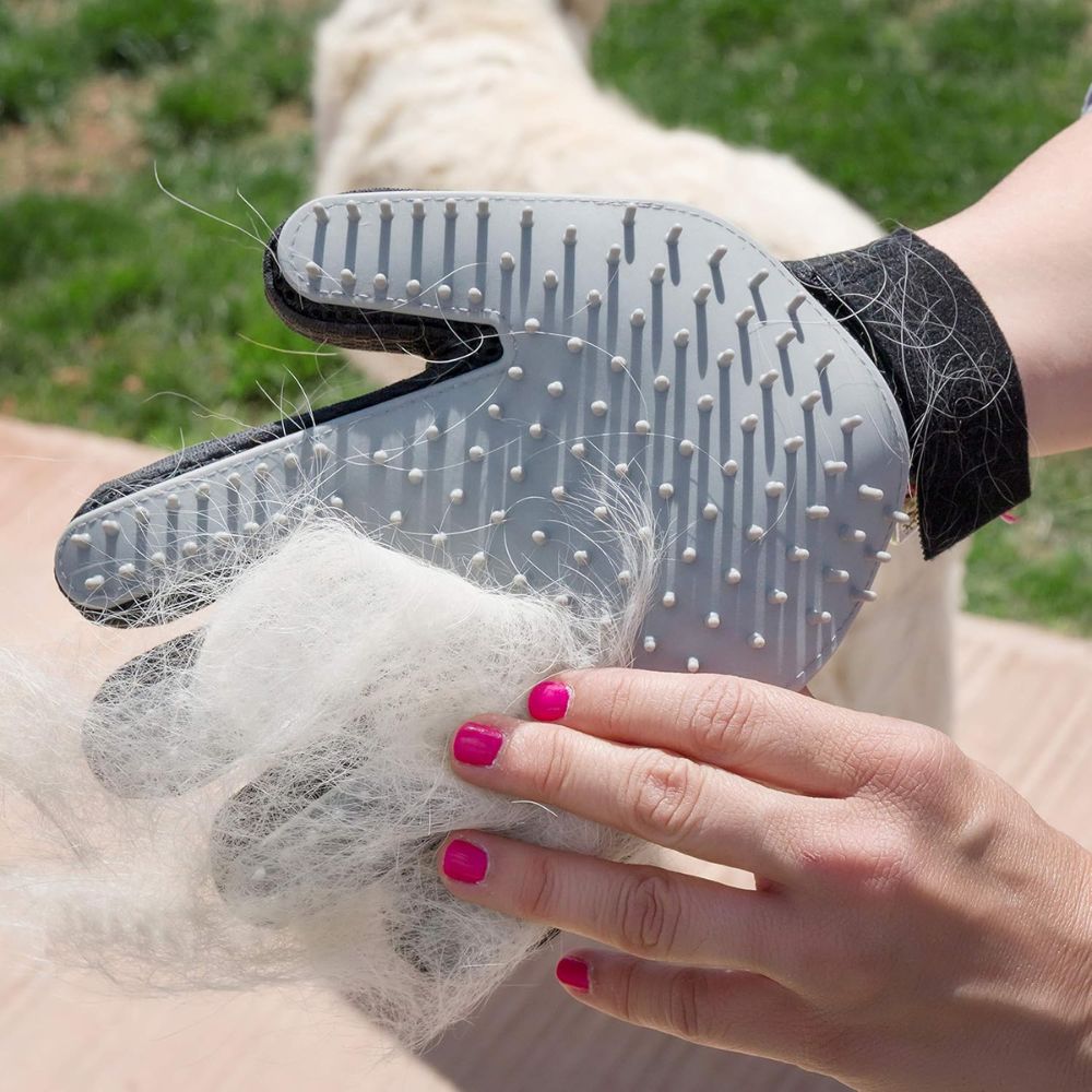 InnovaGoods | Haustier-Bürste und Massagehandschuh