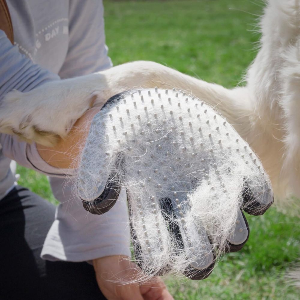 InnovaGoods | Haustier-Bürste und Massagehandschuh